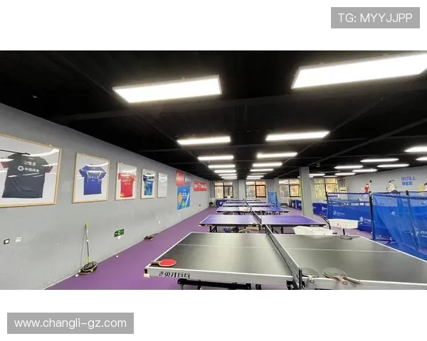 乒乓球运动的技巧与策略探析：从基础训练到竞技水平的提升之路