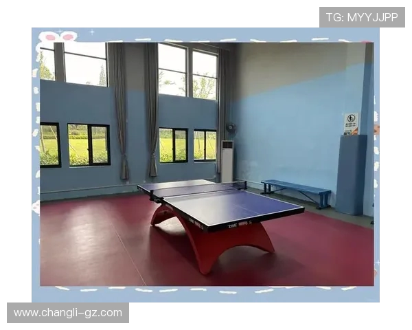 乒乓球技术与战术的全方位解析探索：从基本技巧到高级战略的完美结合