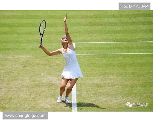 网球运动的魅力与挑战全面解析从技术体能到心理战的深度探讨