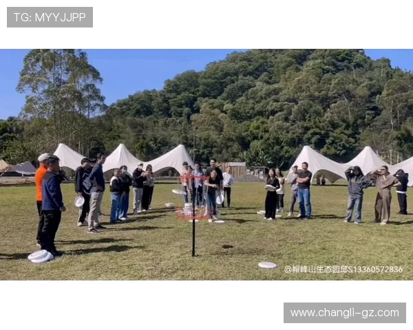 广州飞盘队比赛经验的变革与热议背后的故事与启示